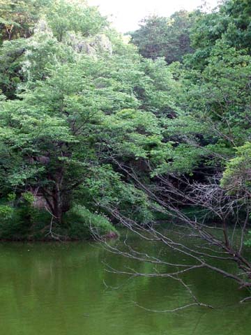 e0034994_22171824.jpg
