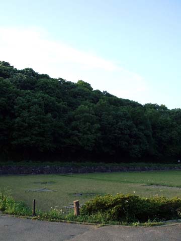 e0034994_2265055.jpg