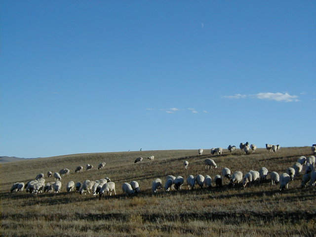 d0029596_2283657.jpg