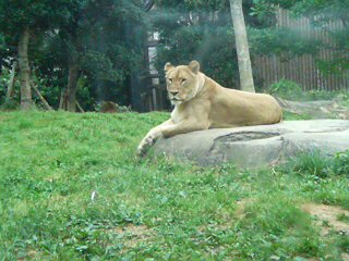 e0063902_2282164.jpg