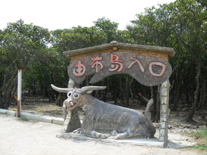 八重山旅レポ　その３　西表島＆由布島_f0006509_15172153.jpg