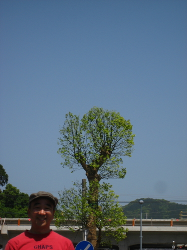 楼門朝市と植樹と日田天領水と。_d0047811_21235994.jpg