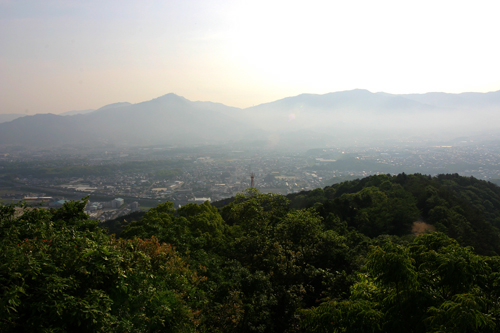 早朝の井野山散歩_a0096313_1139145.jpg