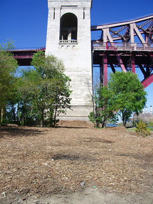 c0064534_0272136.jpg