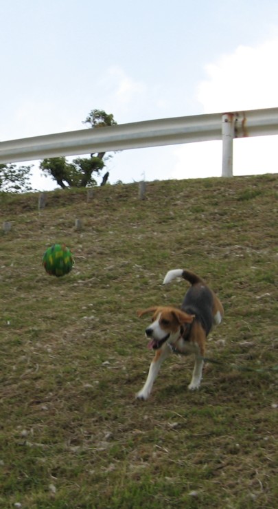 c0119142_8395992.jpg