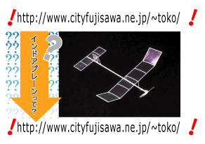 熱中生活フェスタ ビッグサイト 飛行会_d0067943_23344431.jpg