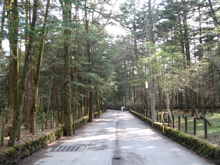 d0040546_555519.jpg