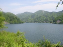 c0100848_1552277.jpg