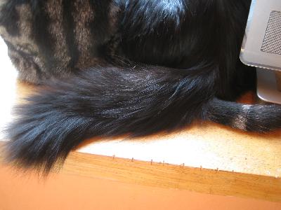 f0116350_22464261.jpg