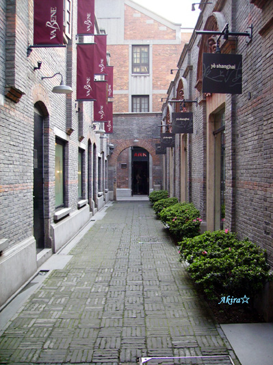 d0074651_18615.jpg