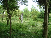 c0108460_21132849.jpg
