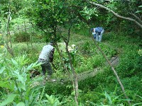 里海自然海岸の清掃参加＆草刈り・ホダギ調達・・・代替活動日_c0108460_2114473.jpg