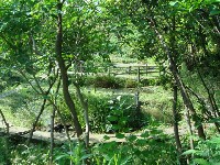 c0108460_2115936.jpg