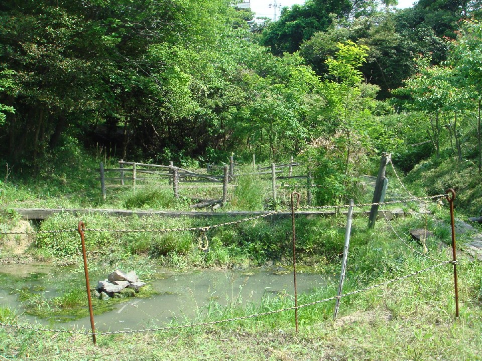c0108460_21255882.jpg