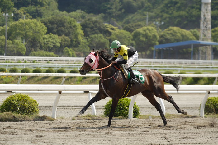 2007年5月12日（土） 高知競馬 7R_a0077663_23421435.jpg