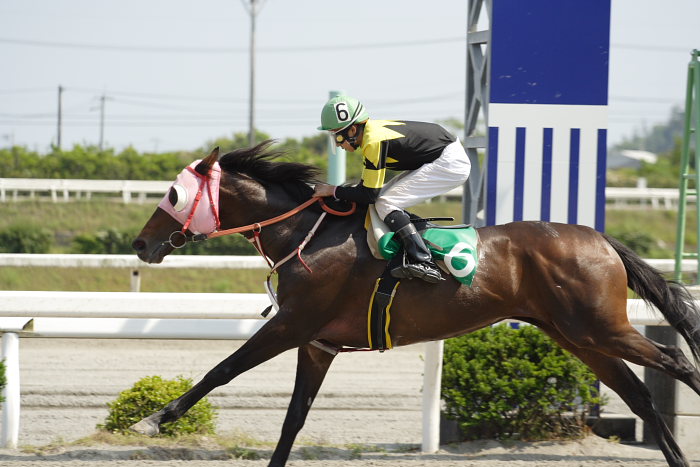 2007年5月12日（土） 高知競馬 7R_a0077663_23422372.jpg