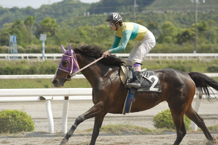 2007年5月12日（土） 高知競馬 7R_a0077663_2344073.jpg