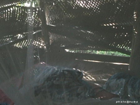 f0050468_1123816.jpg
