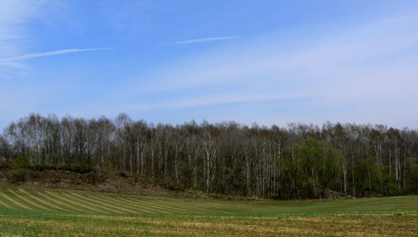 b0068572_19294224.jpg