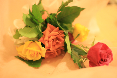 ご近所会_d0028272_1025881.jpg