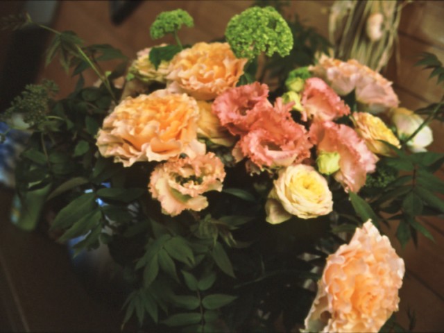 b0074377_23563128.jpg