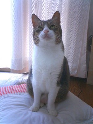 ナルナル_f0054677_925080.jpg