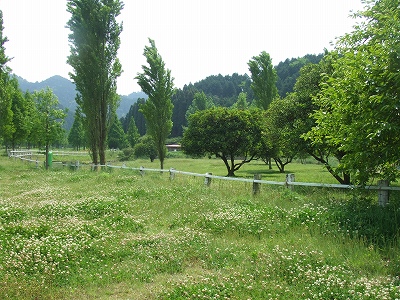 d0091279_197264.jpg