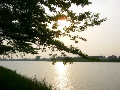 c0078480_23492056.jpg