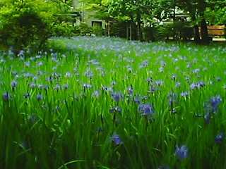 大田神社にて_b0008289_10163256.jpg