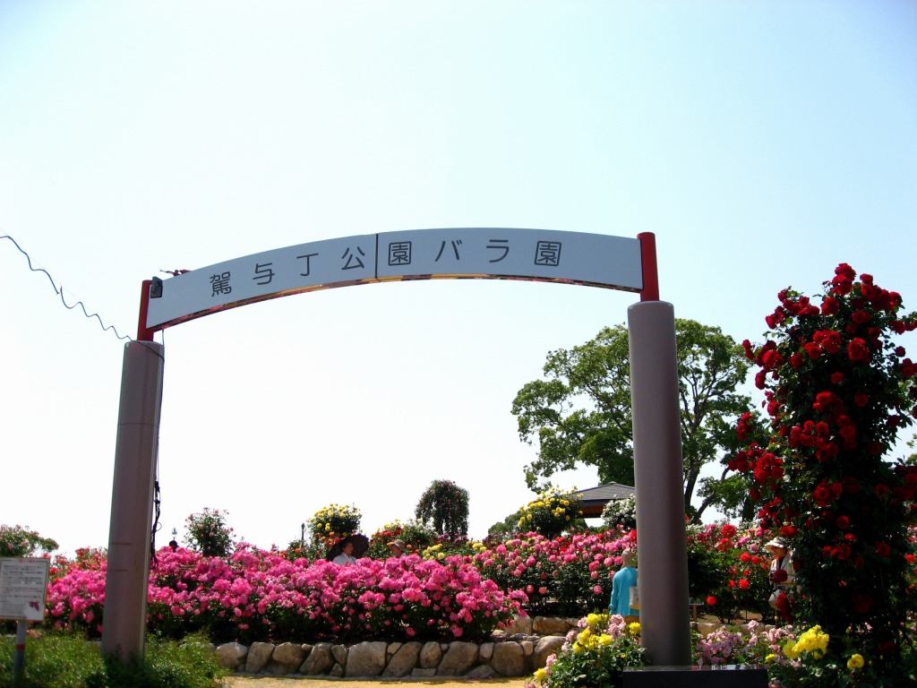 駕与丁公園のばらの花　（07.5.11福岡県粕屋町）_d0070189_0495840.jpg