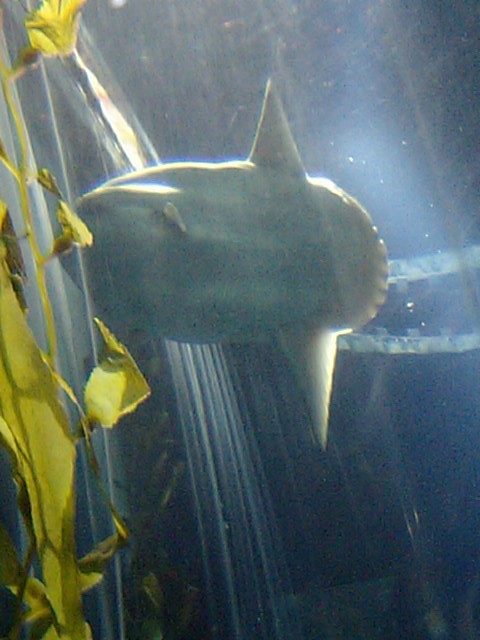 f0097089_22162956.jpg