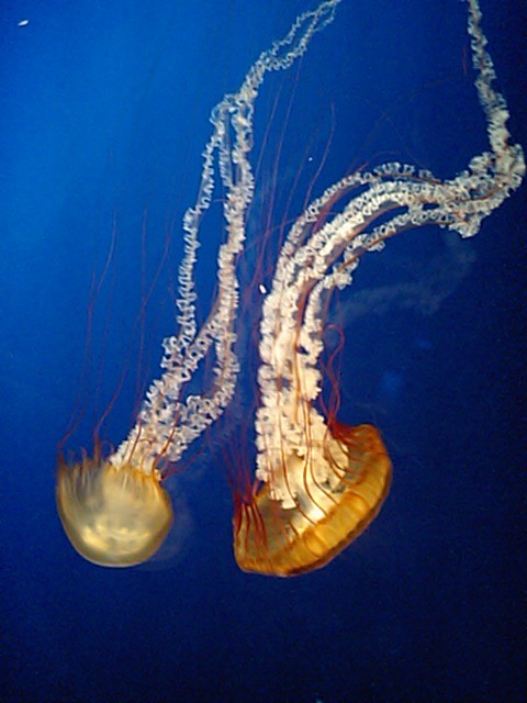 f0097089_22192524.jpg