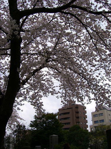 b0062495_16502846.jpg