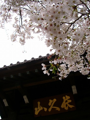 b0062495_1656459.jpg