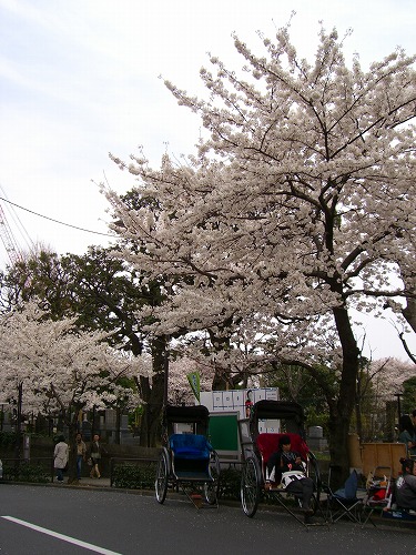 b0062495_175591.jpg