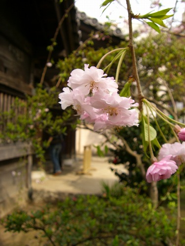b0062495_1791573.jpg