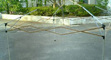 b0095299_0562659.jpg