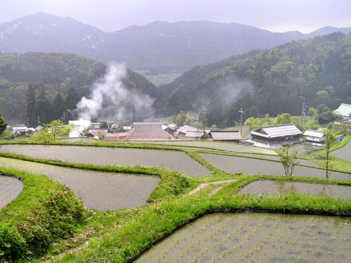 棚田(たなだ)1_e0048413_225482.jpg