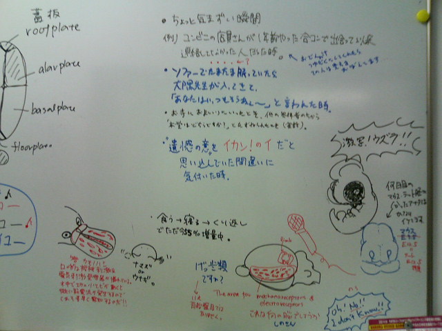 今日は何の日?_d0028322_0653100.jpg