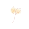 e0009324_1037177.gif