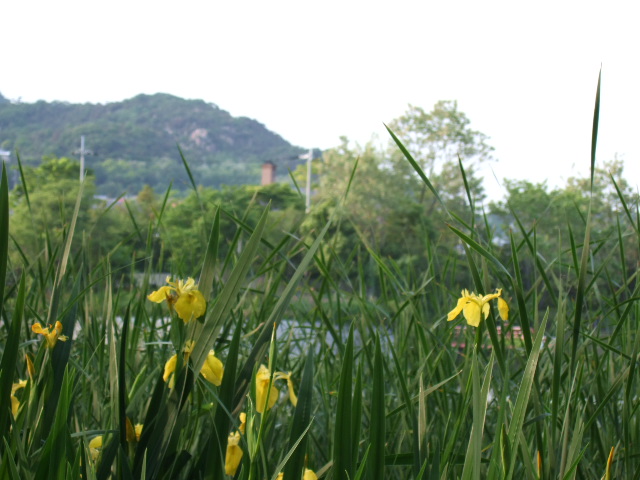 d0086329_0144197.jpg