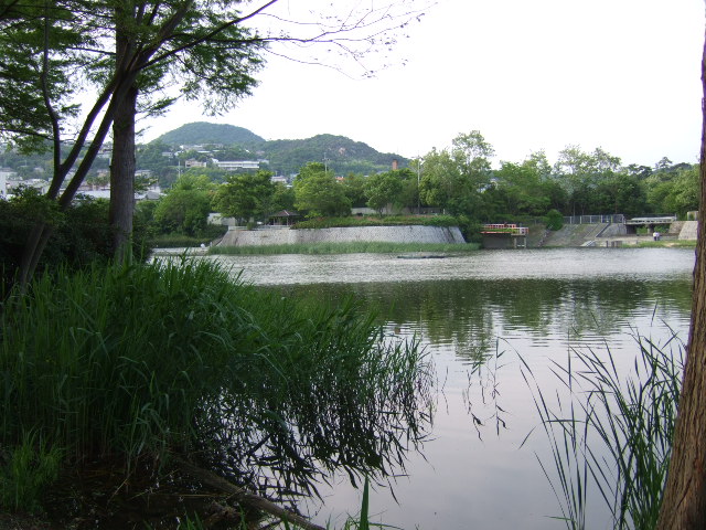 d0086329_0145966.jpg
