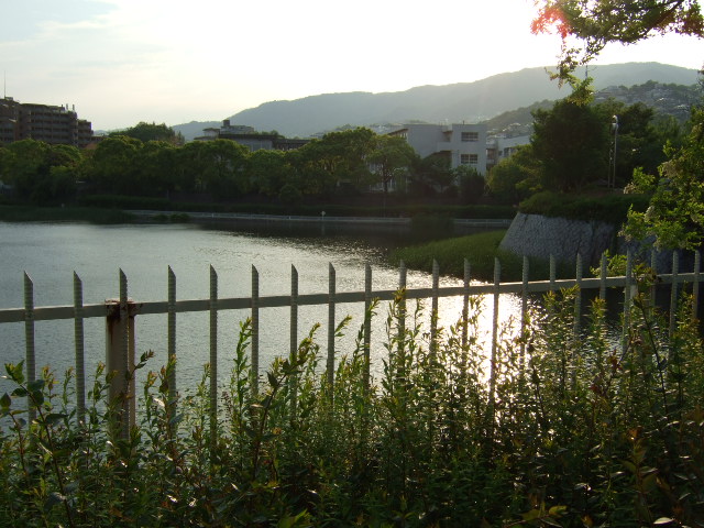 d0086329_0153745.jpg