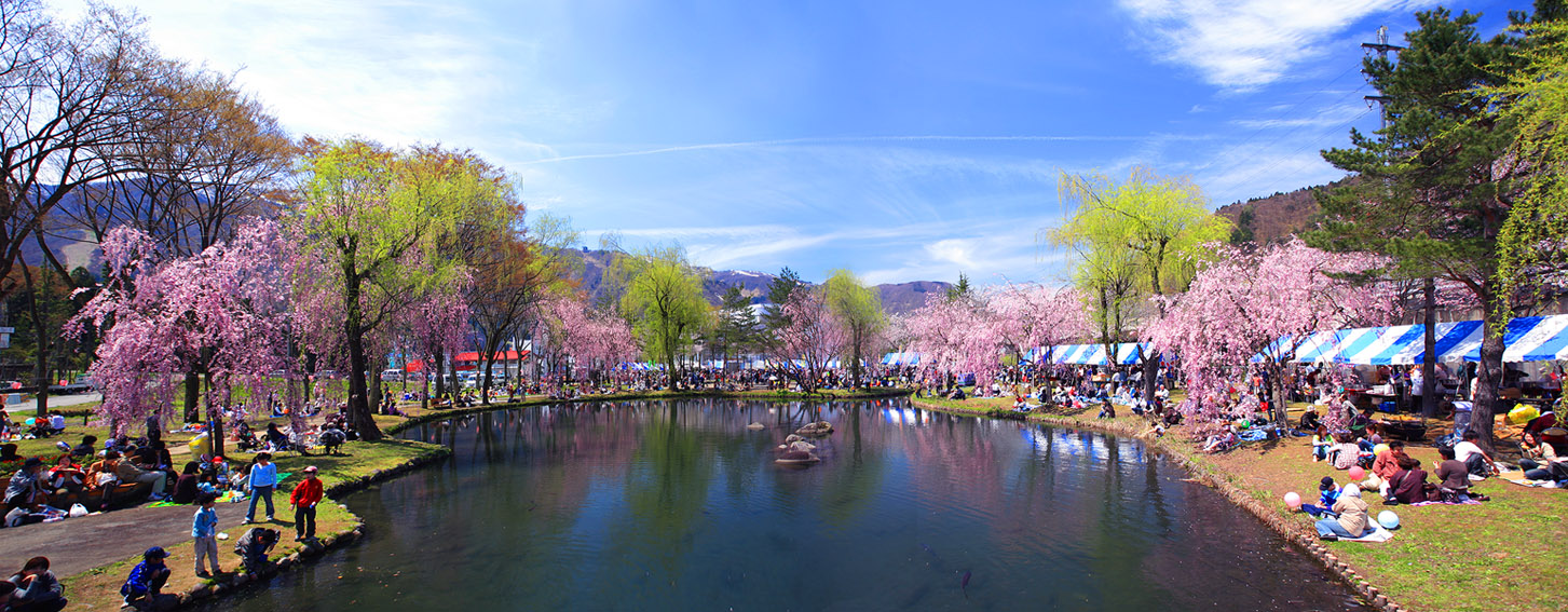 桜旅4 29版パート４ 花まつり In 湯沢中央公園 風にも負けない櫻 さくらch