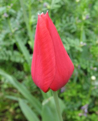 e0098241_13193016.jpg
