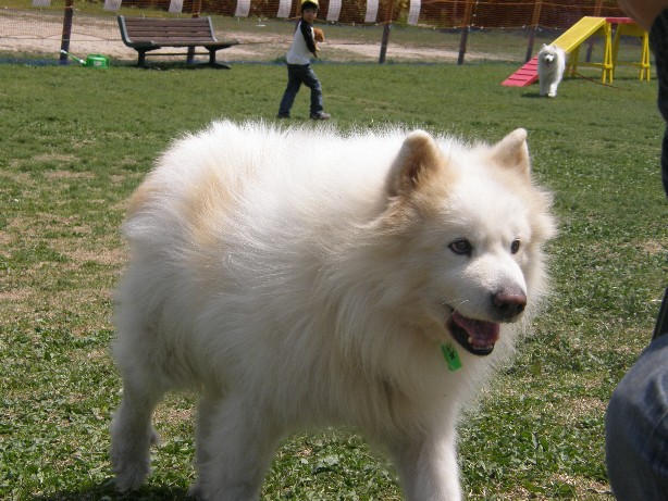 六甲オフ_f0128542_36040.jpg