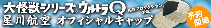 星川航空帽情報　追加_b0004259_15464593.jpg