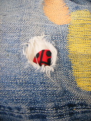 f0043559_23552090.jpg