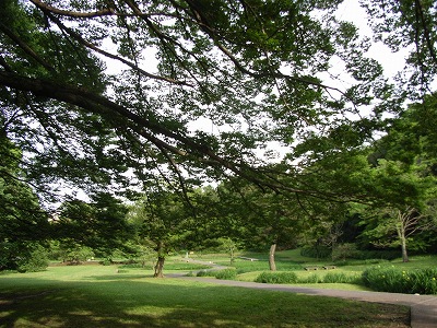 d0092969_844538.jpg