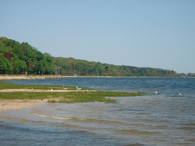 d0100880_19581542.jpg